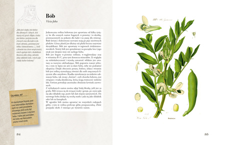 Ilustrowany zielnik Hildegardy z Bingen