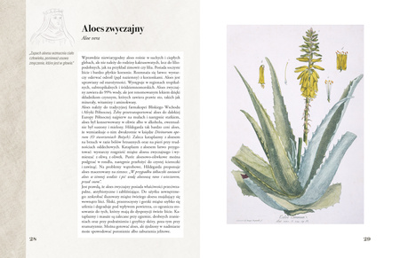 Ilustrowany zielnik Hildegardy z Bingen