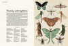 Animalium 