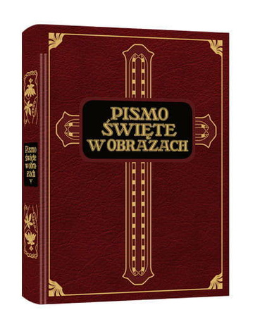 Pismo Święte w obrazach. Dzieje Starego i Nowego Testamentu 