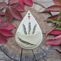 Kropielnica średnia z zielonymi kłosami