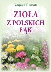 Zioła z polskich łąk