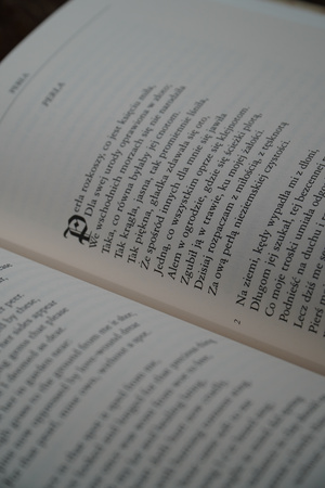 Pan Gawen i Zielony Rycerz, Perła, Pan Orfeo