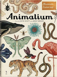 Animalium 