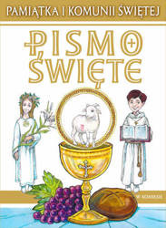 Pismo Święte w komiksie