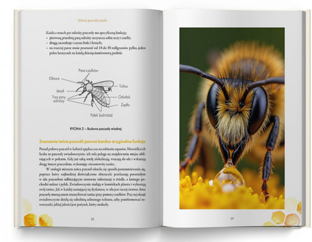 Sekrety pszczelej apteki