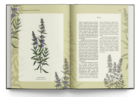 Wielka kuchnia Świętej Hildegardy