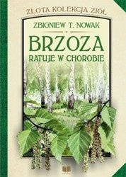 Brzoza ratuje w chorobie