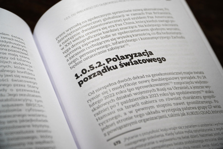 Wielki i Głęboki Reset. Od demokracji do technokracji