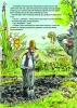 Pettson i Findus. Rwetes w ogrodzie